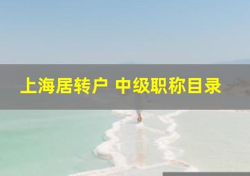 上海居转户 中级职称目录